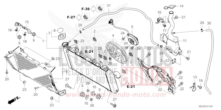 RADIATOR/RESERVE TANK for Hornet 750 MAT IRIDIUM GRAY METALLIC (NHC64) from 2023